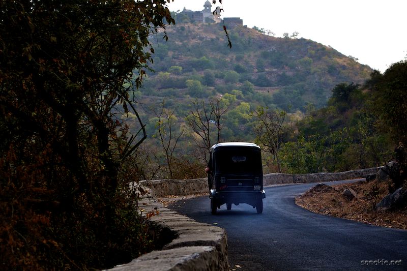 monsoon palace rickshaw