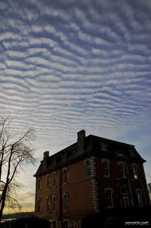 corduroy clouds