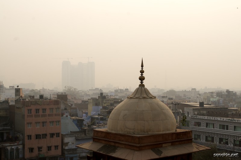 delhi rooftops