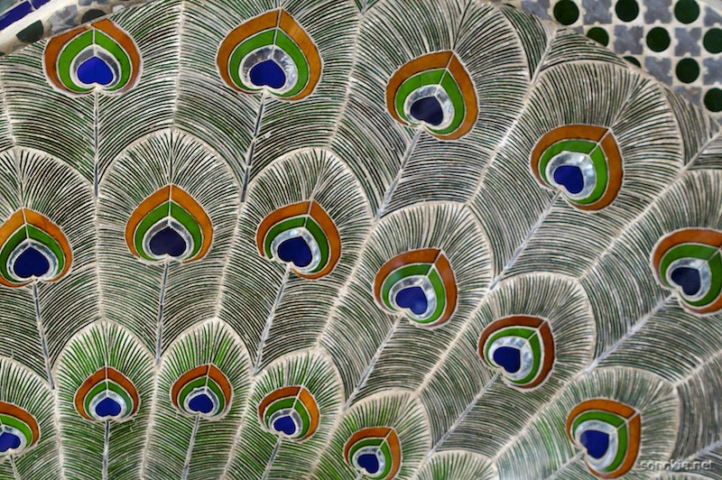 peacock wall